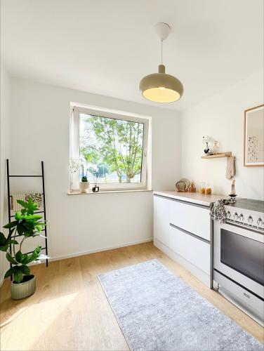 ST Kolibri Immobilien_Woche 3_3