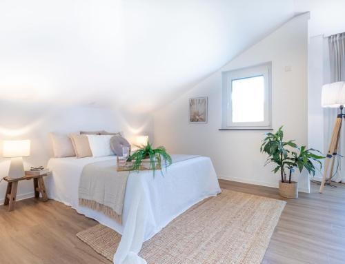 Home Staging Fuldabrück_Robinson Home Staging8